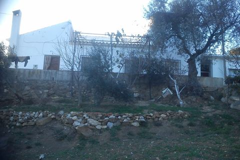 Villa i Mondron, Malaga, Mondron - € 350.000 | Ref: ID4253 - foto 16